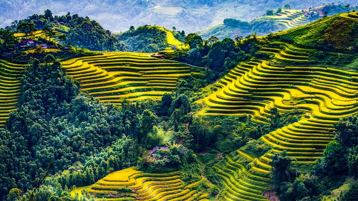 Hotspot Matrix: Cánh cửa vàng cho Freelancer trong kỷ nguyên Video Ngắn