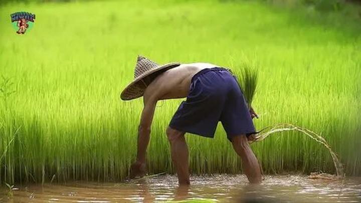 Cô giáo mầm non và hành trình