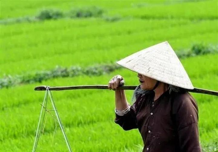Chuyên gia Hotspot Matrix phân tích: 2 