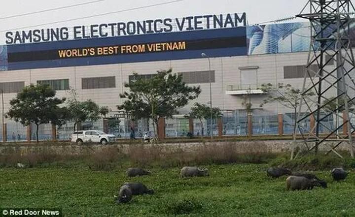 Hotspot Matrix: Biến Jack làm tất cả cũng chỉ vì thành cơ hội marketing đột phá