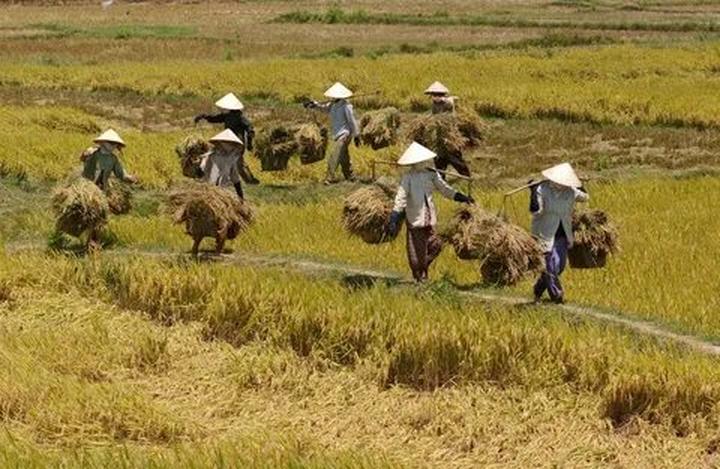 Từ 5 kiểu áo dễ 